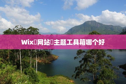 Wix‌网站‌主题工具箱哪个好