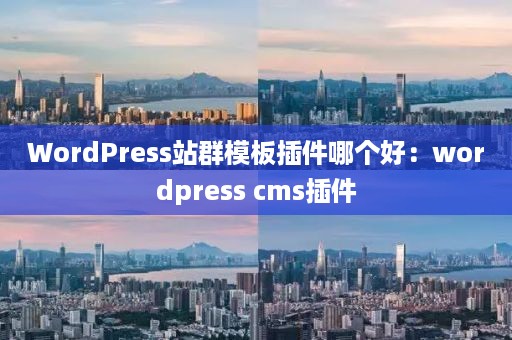 WordPress站群模板插件哪个好：wordpress cms插件