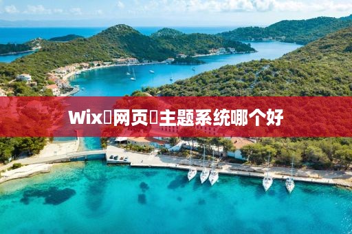 Wix‌网页‌主题系统哪个好